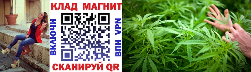 Виды наркоты Пересвет Псилоцибиновые грибы Гашиш Alpha-PVP Марихуана КОКАИН
