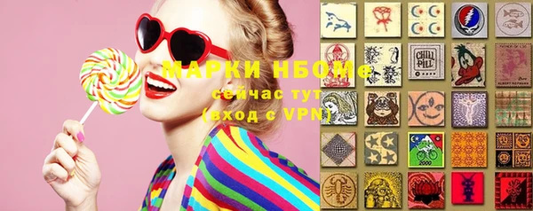 кокс Ростов