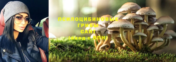 Альфа ПВП Аркадак